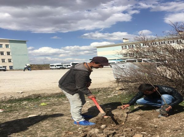 Okul bahçelerinde ağaçlandırma yapılacaktır.